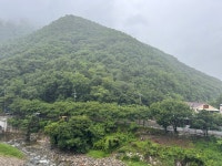 브이아이피모텔