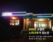 느티나무펜션