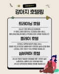 베럴독 강아지 훈련소,애견호텔 유치원