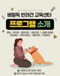 베럴독 강아지 훈련소,애견호텔 유치원