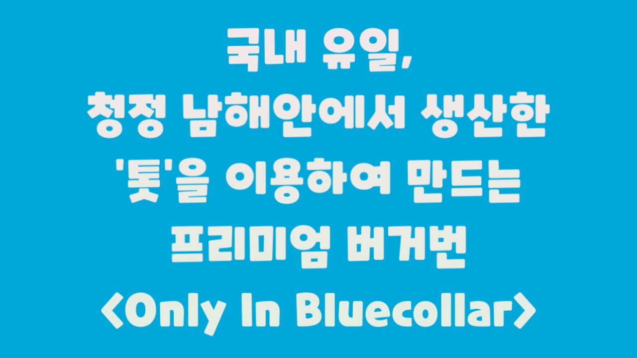 블루칼라