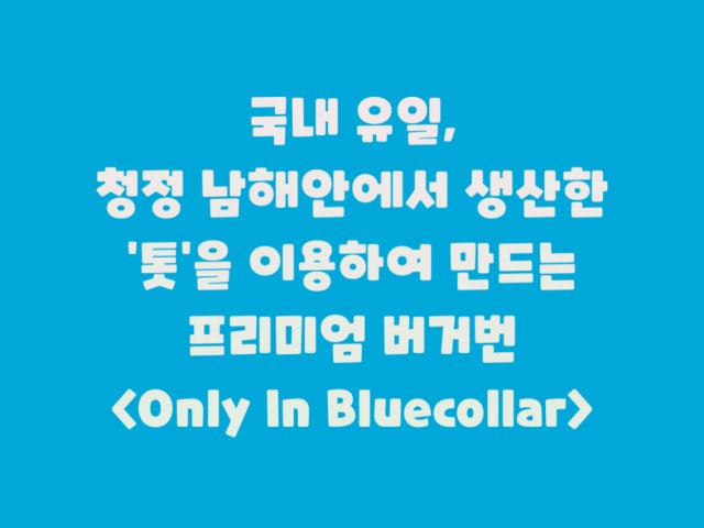 블루칼라