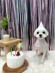 꾸미댕