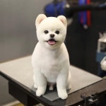 몽스파