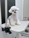 플러플리 FLUFFLY
