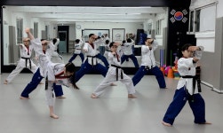 위올태권도