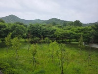 명태덕장 청천동 원적산공원