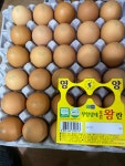 푸른농장