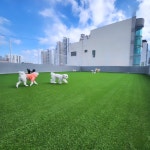 도그185 애견유치원&애견호텔