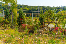 경주쥬얼풀빌라