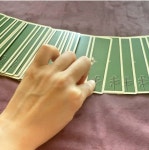 씨드타로테라피