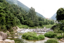 장령산훼미리펜션