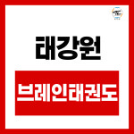 국가대표 태강원 태권도장