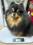 멍벤져스