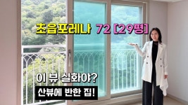 언니네부동산공인중개사사무소