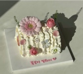 두유라이크케이크