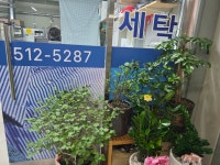 명품그랜드세탁소