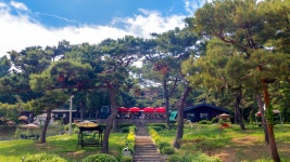 페트라숯불구이 장흥본점