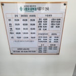 자동차피부과