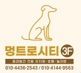 멍트로시티