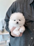 멍벤져스