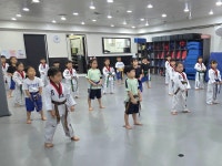 풍진태권도