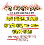 의정부강아지분양 고양이분양 마이펫브로 의정부점