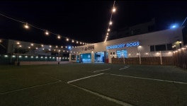 썸바디독스 파주본점