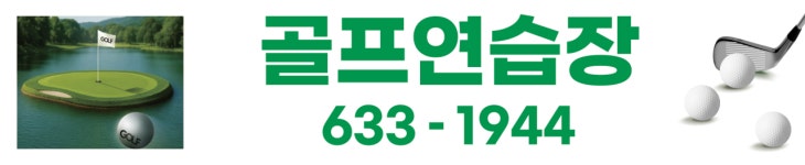 에이원 GDR골프 범내골역점