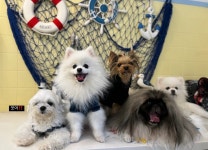 커피멍 다사본점