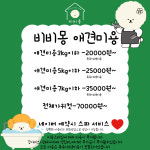 비비몽 대구강아지호텔