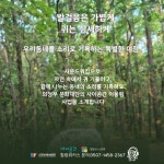 힐링워커스