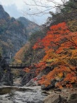 주산지산촌생태마을펜션