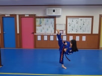 진도태권도장