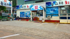 돌고래회