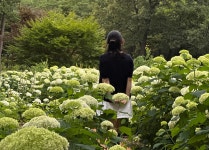 유니스의정원 보타닉하우스