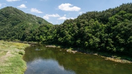 영월 사람과 자연 펜션