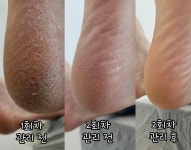 제이벨라