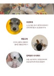 펫스 유치원 펫스테이션점