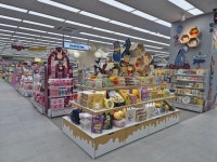 다이소 평택중앙로점