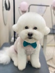 써니펫살롱