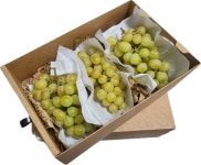 보라빛 오후 포도공방