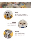 펫스 유치원 펫스테이션점