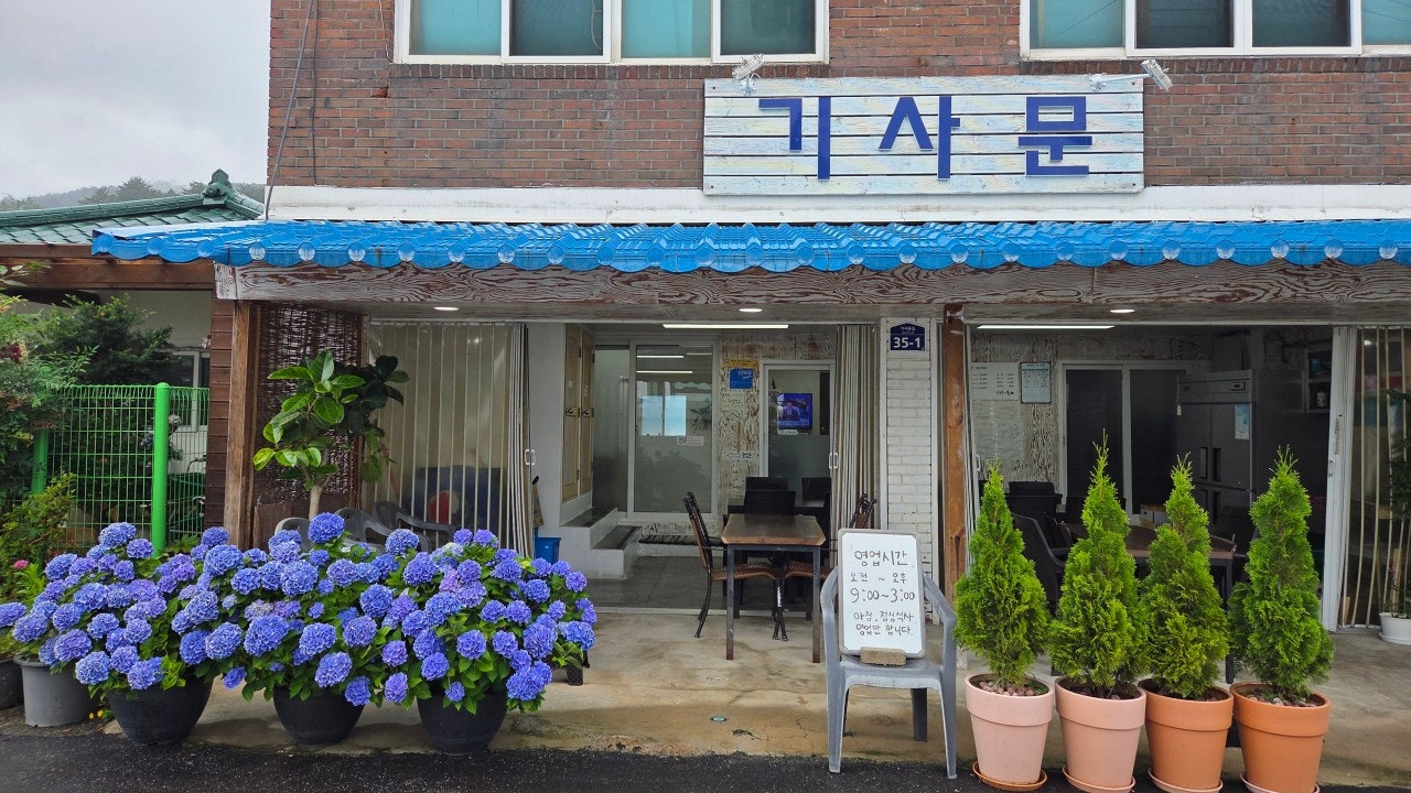 기사문