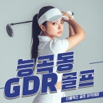 더플렉스 1층GDR골프존아카데미 시흥 능곡점