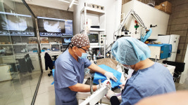 동물병원닥터스