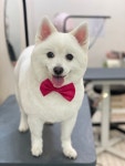 써니펫살롱