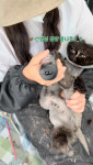 소중하냥
