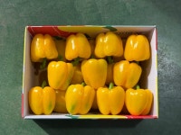 영농조합법인육인농장