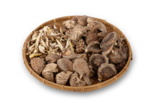 정남진표고돌이